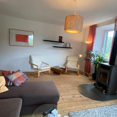 Helles, Gemuetliches Haus Mit Moselblick Villa Müden Eksteriør billede