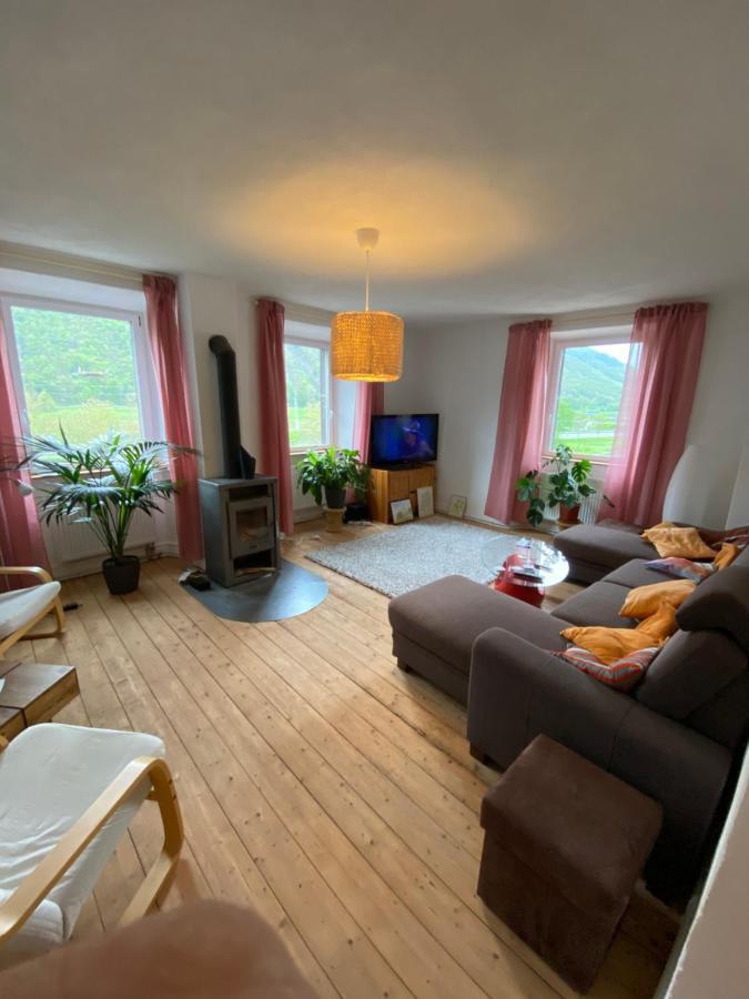 Helles, Gemuetliches Haus Mit Moselblick Villa Müden Eksteriør billede