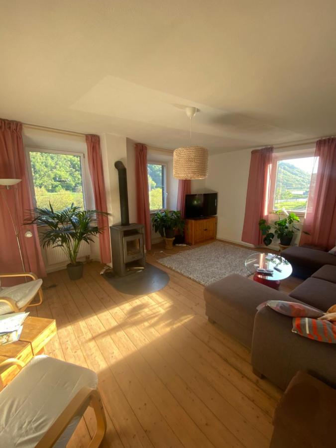 Helles, Gemuetliches Haus Mit Moselblick Villa Müden Eksteriør billede
